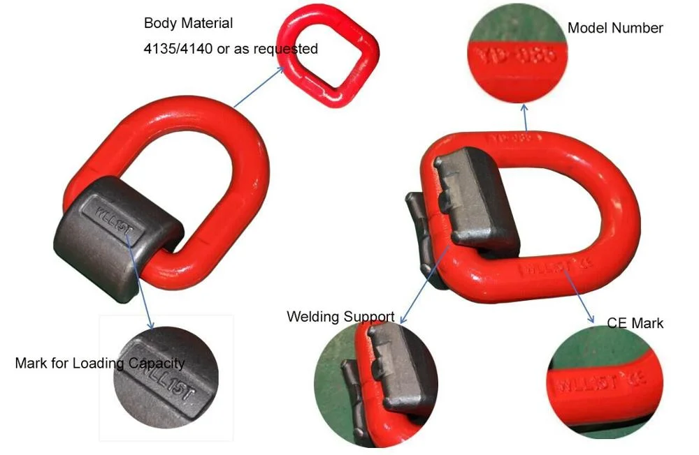 Steel Forged Lashing D Ring for Chain Link